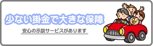 自動車共済イメージ