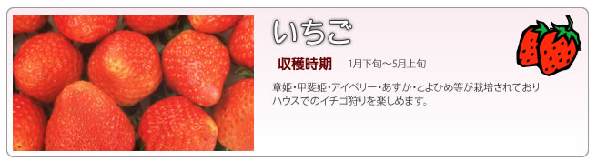 いちご